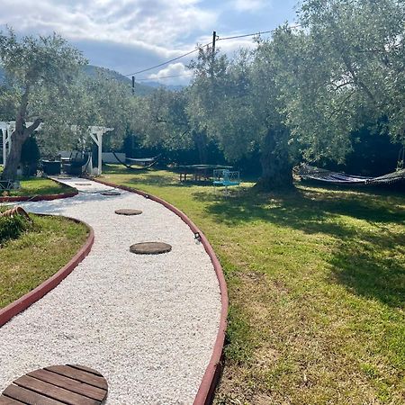 Fokas Luxury Villa Prínos Exteriér fotografie