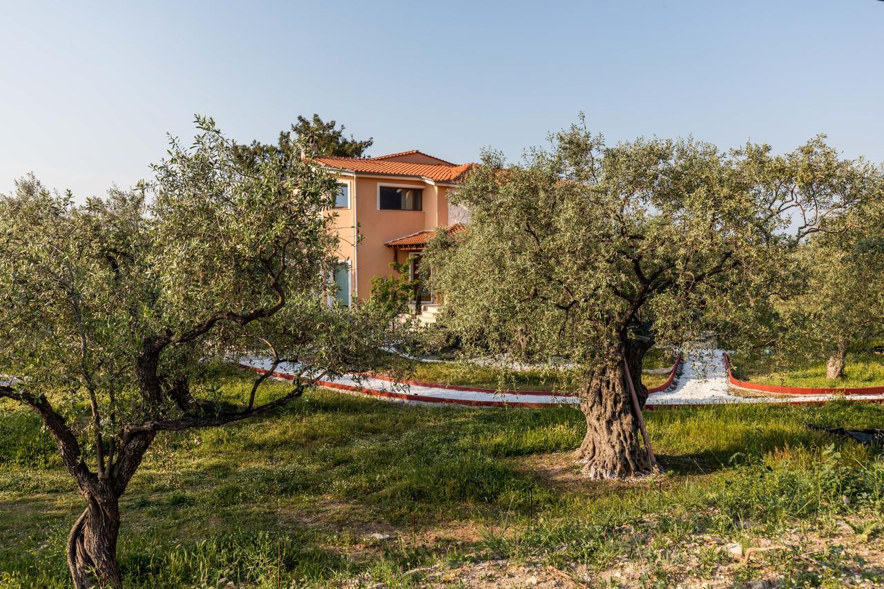 Fokas Luxury Villa Prínos Exteriér fotografie